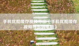 手机优酷缓存视频导出（手机优酷缓存视频导出到电脑）