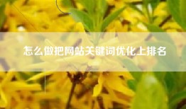 怎么做把网站关键词优化上排名
