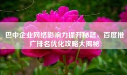 巴中企业网络影响力提升秘籍，百度推广排名优化攻略大揭秘
