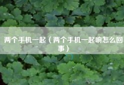 两个手机一起（两个手机一起响怎么回事）