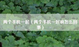 两个手机一起（两个手机一起响怎么回事）