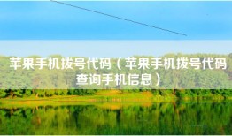 苹果手机拨号代码（苹果手机拨号代码查询手机信息）