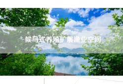 候鸟式养殖扩展渔业空间
