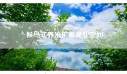 候鸟式养殖扩展渔业空间