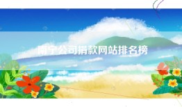 南宁公司捐款网站排名榜