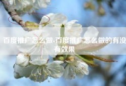 百度推广怎么做-百度推广怎么做的有没有效果
