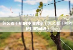 怎么看手机的使用时间（怎么看手机的使用时间段）