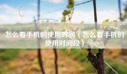 怎么看手机的使用时间（怎么看手机的使用时间段）