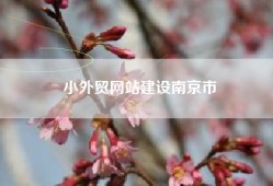 小外贸网站建设南京市