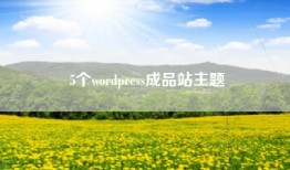 5个wordpress成品站主题