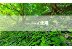 coco_eval 使用