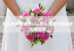怎么把百度设为Safari默认搜索引擎具体步骤图解