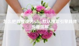 怎么把百度设为Safari默认搜索引擎具体步骤图解