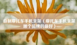 自制摩托车手机支架（摩托车手机支架哪个品牌的最好）