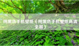 纯黑色手机壁纸（纯黑色手机壁纸高清全屏）