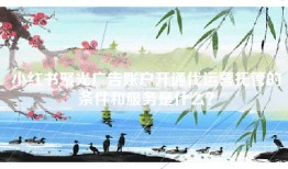 小红书聚光广告账户开通代运营托管的条件和服务是什么？