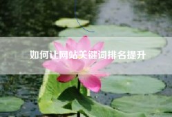 如何让网站关键词排名提升