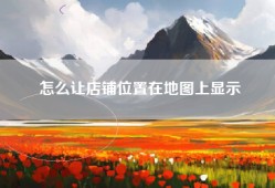 怎么让店铺位置在地图上显示
