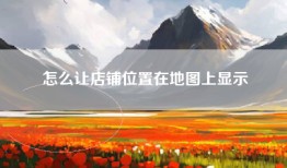 怎么让店铺位置在地图上显示