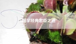 国学经典君臣之道