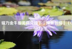 磁力金牛服务商介绍下「预算智投」（CBO）