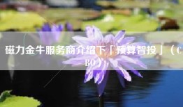 磁力金牛服务商介绍下「预算智投」（CBO）
