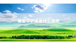 基金中沪深是什么意思