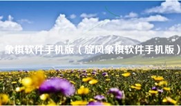 象棋软件手机版（旋风象棋软件手机版）