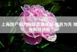 上海国产磁力搅拌器哪家好 服务为先 精凿科技供应