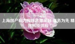 上海国产磁力搅拌器哪家好 服务为先 精凿科技供应