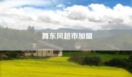舞东风超市加盟