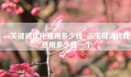 seo关键词优化费用多少钱_seo关键词优化费用多少钱一个