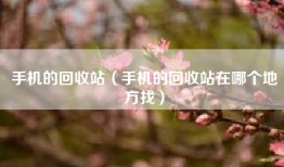 手机的回收站（手机的回收站在哪个地方找）