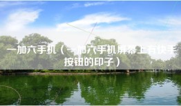 一加六手机（一加六手机屏幕上有快手按钮的印子）