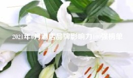 2021年6月酒店品牌影响力100强榜单