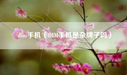 dim手机（DIM手机是杂牌子吗）