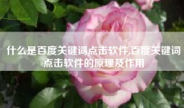 什么是百度关键词点击软件,百度关键词点击软件的原理及作用