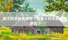 屏大的手机有哪些（屏幕大的手机推荐便宜）