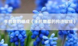 手机屏的组成（手机屏幕的构造组成）