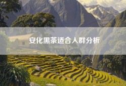 安化黑茶适合人群分析