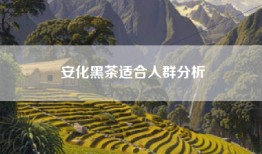 安化黑茶适合人群分析