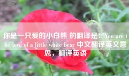 你是一只爱的小白熊 的翻译是：You are the love of a little white bear 中文翻译英文意思，翻译英语