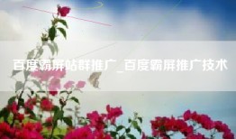 百度霸屏站群推广_百度霸屏推广技术