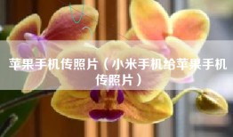 苹果手机传照片（小米手机给苹果手机传照片）