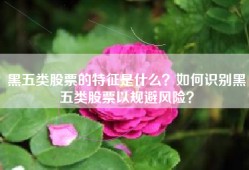黑五类股票的特征是什么？如何识别黑五类股票以规避风险？