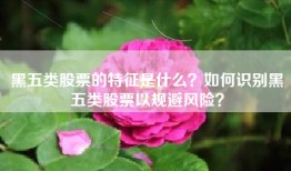 黑五类股票的特征是什么？如何识别黑五类股票以规避风险？
