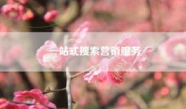 一站式搜索营销服务