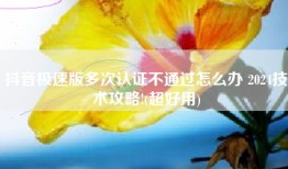 抖音极速版多次认证不通过怎么办 2024技术攻略!(超好用)