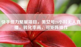 快手磁力聚星项目，美女号24小时无人直播，转化率高，可矩阵操作