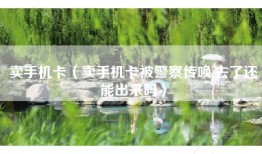 卖手机卡（卖手机卡被警察传唤,去了还能出来吗）